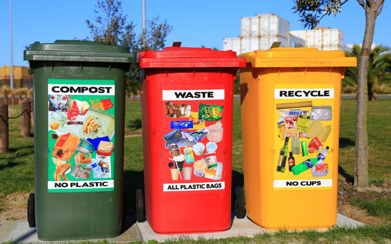 Three color-coded bins labeled Compost, Waste, and Recycle with images showing what items go in each.