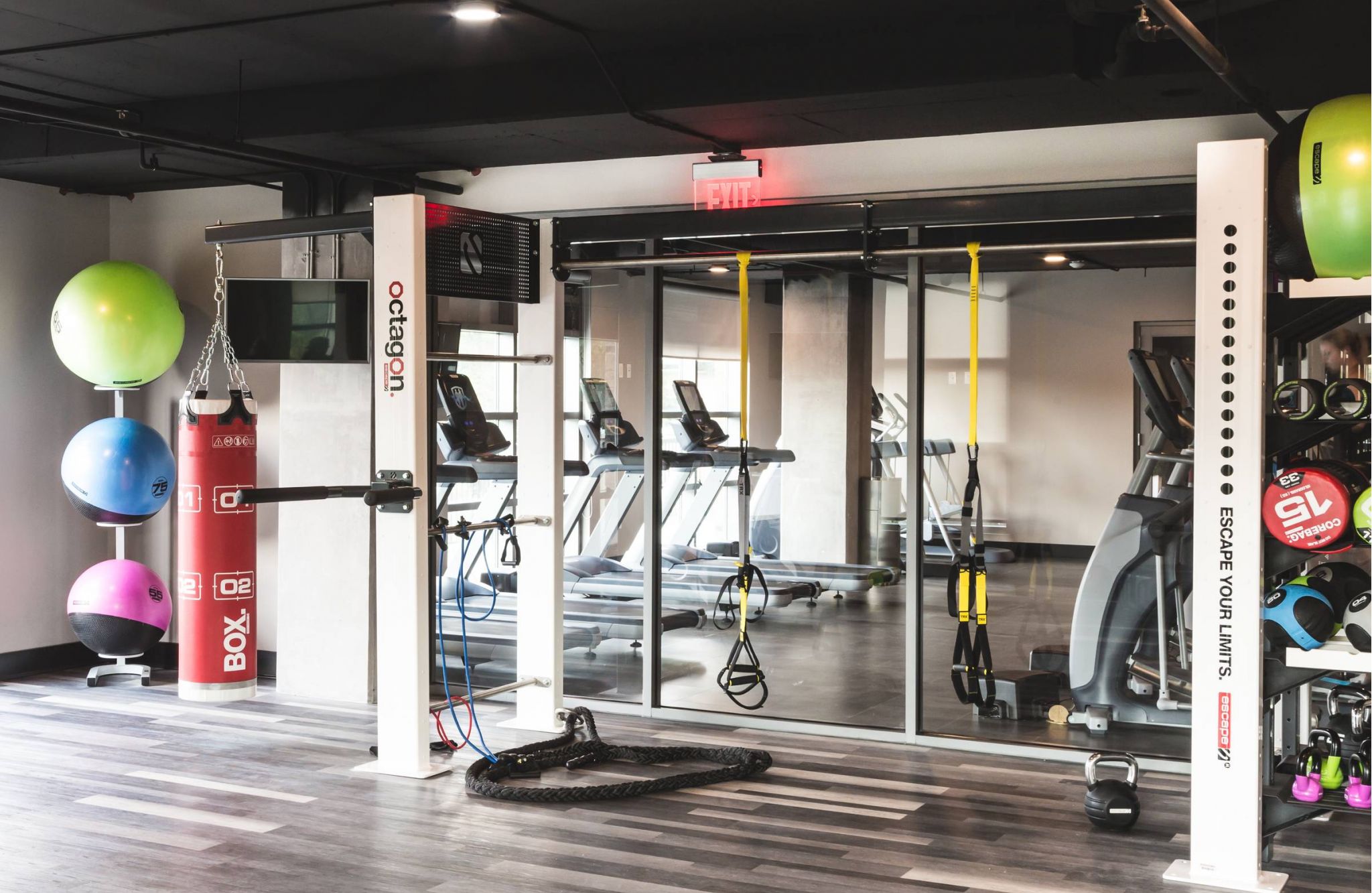 Modern gym with treadmills, exercise balls, a punching bag, TRX straps, and various fitness equipment.
