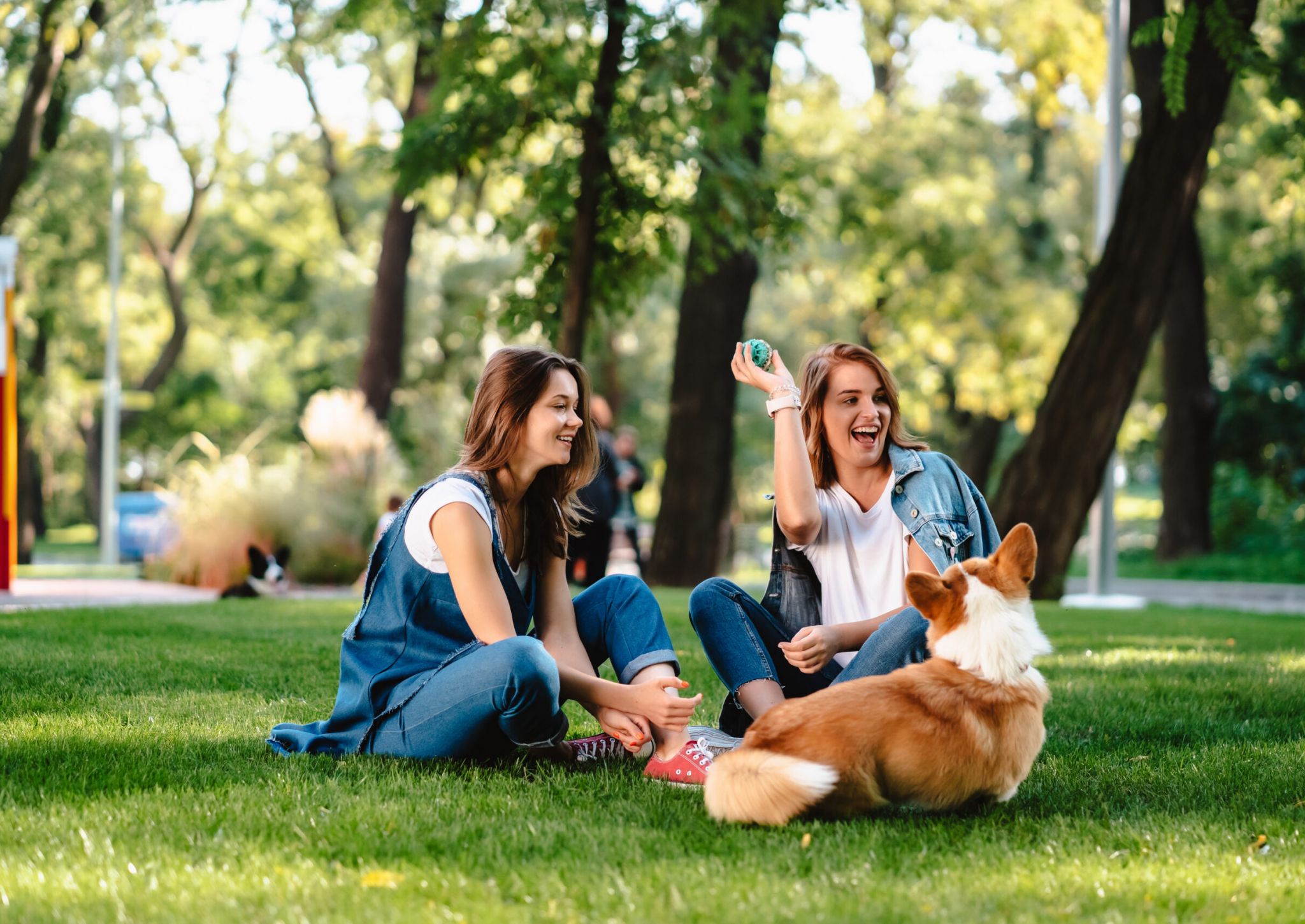 Two women sitting on grass at a park, smiling and playing with a brown and white dog on a sunny day.