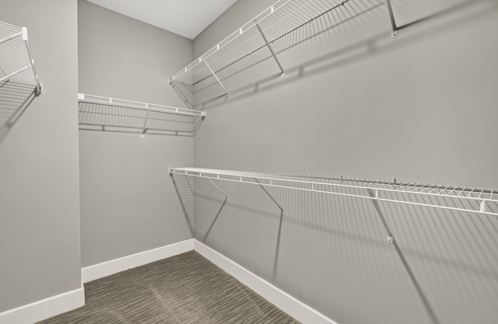 1-bed apartment bedroom with large bed, ceiling fan, carpet, dresser, and large closet