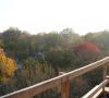 View from a wooden balcony overlooking trees with autumn foliage and houses on a sunny day.